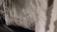 阳朔蝴蝶泉，没啥看的，不太推荐