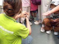 【新疆行】第一站：乌鲁木齐，活体昆虫博物馆