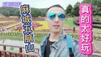 阿伟vlog:湖北麻城有什么好玩的地方？阿伟今天打卡五脑山公园，看看怎么样