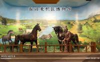 探访天水市麦积区博物馆