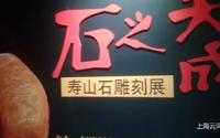 上海松江博物馆，逛展览（2）