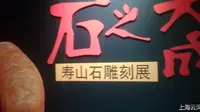 上海松江博物馆，逛展览（2）