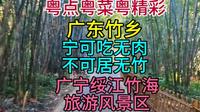 广东竹乡，宁可吃无肉不可居无竹，广宁绥江竹海旅游风景区