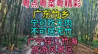 广东竹乡，宁可吃无肉不可居无竹，广宁绥江竹海旅游风景区