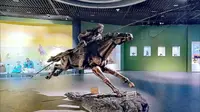 打卡锡林郭勒盟博物馆，感受蒙元文化
