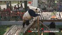 盘点衡阳动物园曾经饲养过的动物