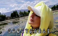 水性杨花能吃？云南大理鹤庆银都水乡