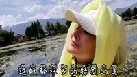 水性杨花能吃？云南大理鹤庆银都水乡
