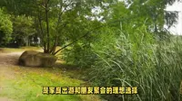 上海滨江森林公园旅游攻略