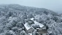 2024年寻龙山景区的第一场雪