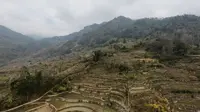 元阳老虎嘴梯田