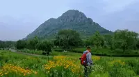 济南华山湿地公园小游，欣赏盛开的各种小花！