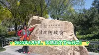 沈阳故宫，牡丹花盛开了，美好的景色令人神往！