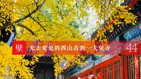 《壁下观》Episode 44 无去来处的西山名刹——大觉寺