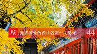 《壁下观》Episode 44 无去来处的西山名刹——大觉寺