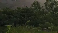 离320国道最近的风景区，上饶市弋阳县龟峰