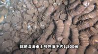 全国广电新媒体联盟海南行丨记者走进中国（海南）南海博物馆，带你看南海西北陆坡一二号沉船考古成果特展。 #盛世中华 大美中国