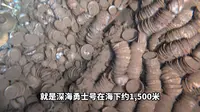 全国广电新媒体联盟海南行丨记者走进中国（海南）南海博物馆，带你看南海西北陆坡一二号沉船考古成果特展。 #盛世中华 大美中国
