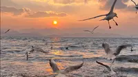 2023.3.19 洱海旁 龙龛码头看到绝美日出  完整纯享版～