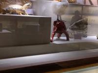 来淄博不得不游览的博物馆-田氏骨科博物馆，免费游览