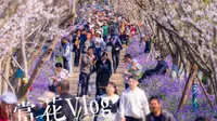 春日已来【2025.3.22南昌凤凰沟瞎逛】