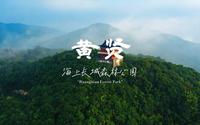 坐拥山海，自“游”呼吸。来奉化黄贤森林公园，汲取自然的能量