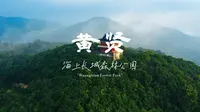 坐拥山海，自“游”呼吸。来奉化黄贤森林公园，汲取自然的能量