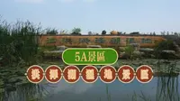 5A景区，江苏省宿迁市洪泽湖湿地景区