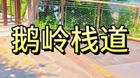 重庆渝中区鹅岭栈道，感受山风眺望江景
