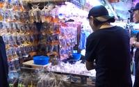 【搬运】在香港金鱼街逛逛