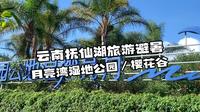 抚仙湖旅游攻略 | 月亮湾湿地公园&樱花谷