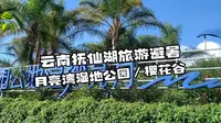 抚仙湖旅游攻略 | 月亮湾湿地公园&樱花谷