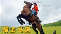 自驾坝上草原竟遇“马匪”，我们还被带走了