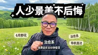 呼伦贝尔野景点恩和后山，漫山的野花铺满整个山丘，白桦林，草地，蓝天白云，牛奶羊群，美的层次分明
