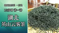 15分钟讲一讲湖北英山云雾茶