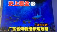 史上最全的广东省博物馆参观攻略！一条回头路都不用走！