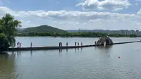 绍兴鉴湖景区 水上游 如画中