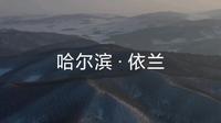 哈尔滨-依兰实录。