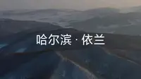 哈尔滨-依兰实录。