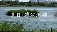 夏·石家庄｜滹沱河畔【2022/07/24】