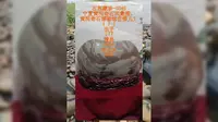 宁夏黄河奇石风景图，黄河奇石博物馆在哪儿？