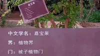 宁夏园艺产业园一游