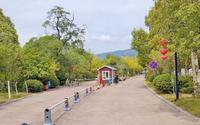 四川4A景区千佛崖风景区广元千佛崖摩崖造像景区徒步讲解打卡