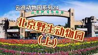 【云逛动物园系列】24.北京野生动物园（上）