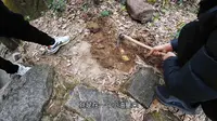 浙江衢州，梅树底景区