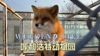 呼和浩特大青山野生动物园