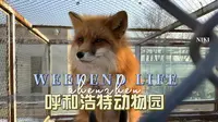 呼和浩特大青山野生动物园