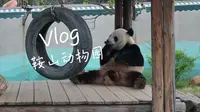 鞍山动物园一日游