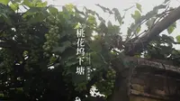 姑苏百巷之—桃花坞下塘