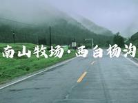 南山牧场西白杨沟